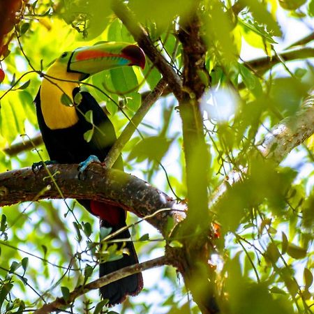 Ecolodge El Sombrero Laguna Yaxha Bagian luar foto
